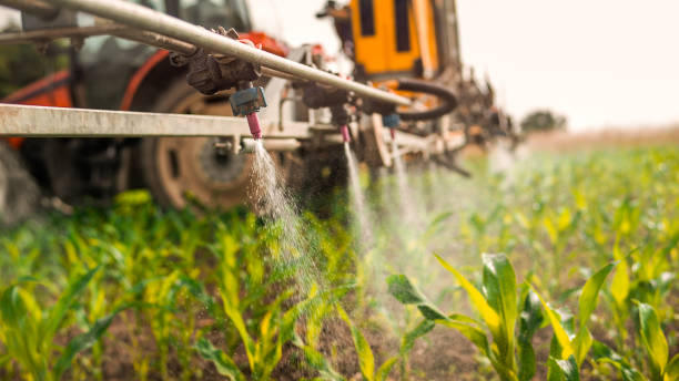 Insect Control in Tillamook, OR